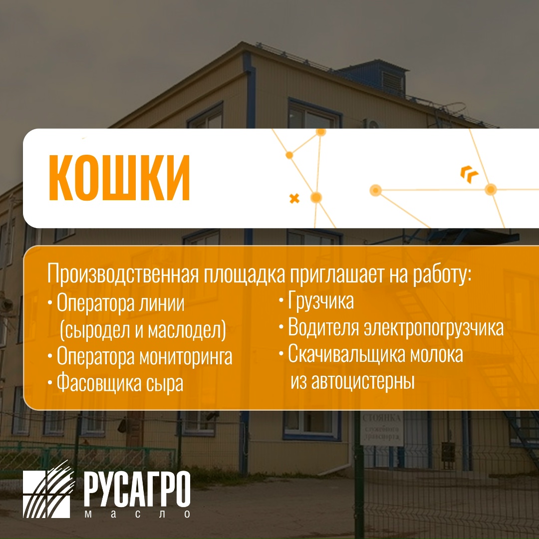 Найдите свою идеальную работу в «Русагро Масло»!