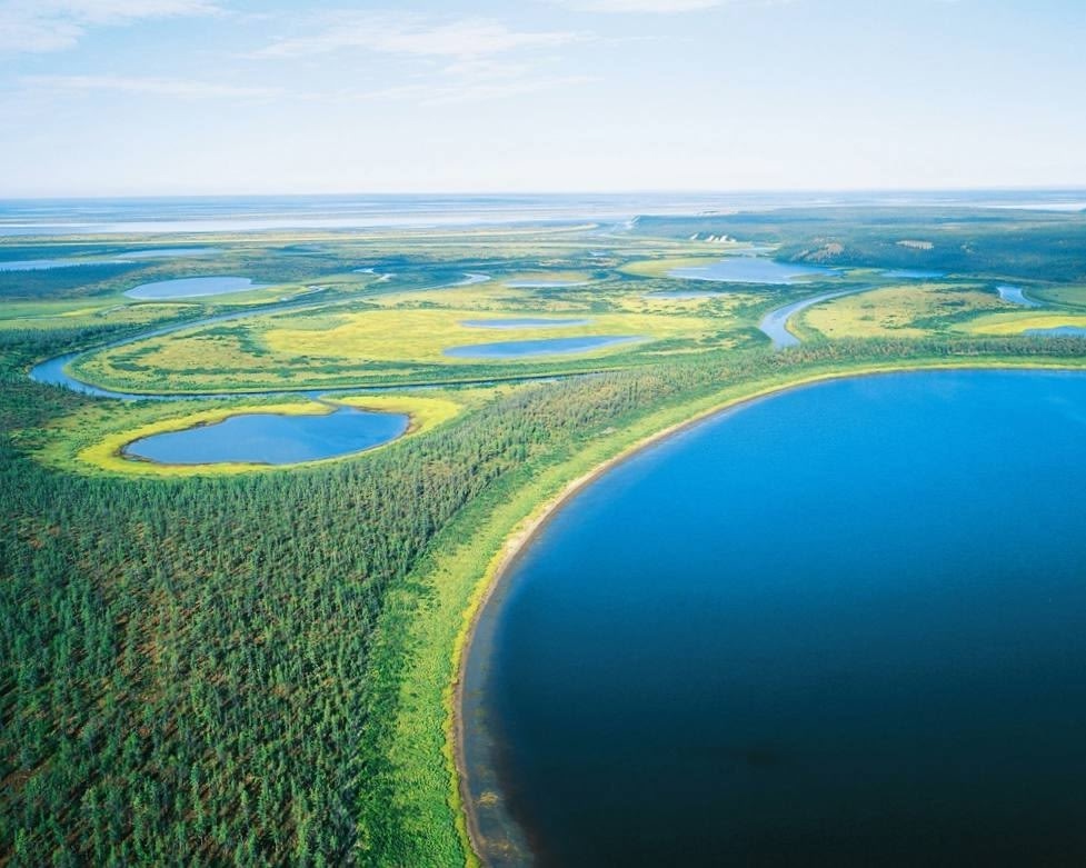 Забота в действии В 2024 году «Роснефть» направила более 4 млрд рублей в зелёные проекты.