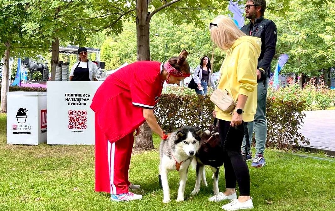 #ТриЧетыре на отлично Тематическая площадка ЛУКОЙЛа — на одном из самых масштабных молодёжных фестивалей на юге страны.
