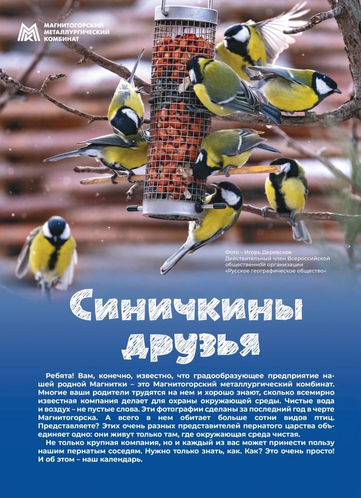 «Синичкины друзья» — новый подарок от ММК для школ Магнитогорска