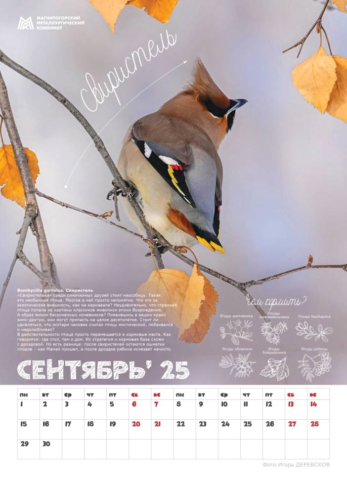 «Синичкины друзья» — новый подарок от ММК для школ Магнитогорска