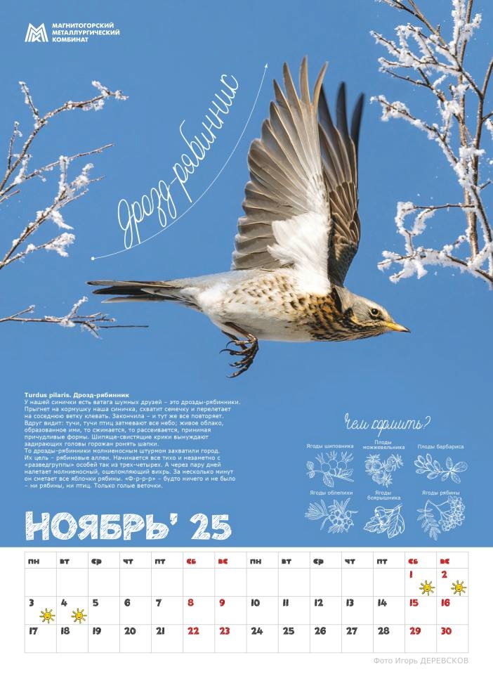 «Синичкины друзья» — новый подарок от ММК для школ Магнитогорска