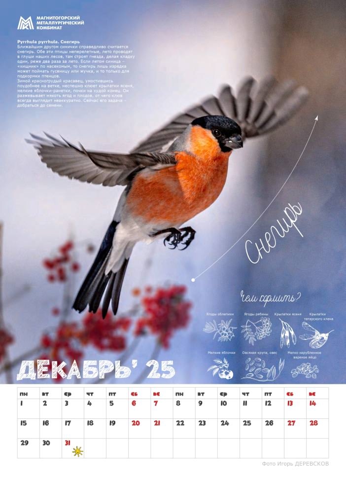 «Синичкины друзья» — новый подарок от ММК для школ Магнитогорска