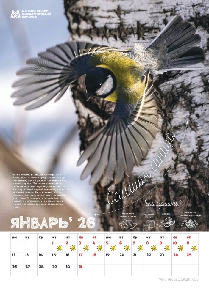 «Синичкины друзья» — новый подарок от ММК для школ Магнитогорска