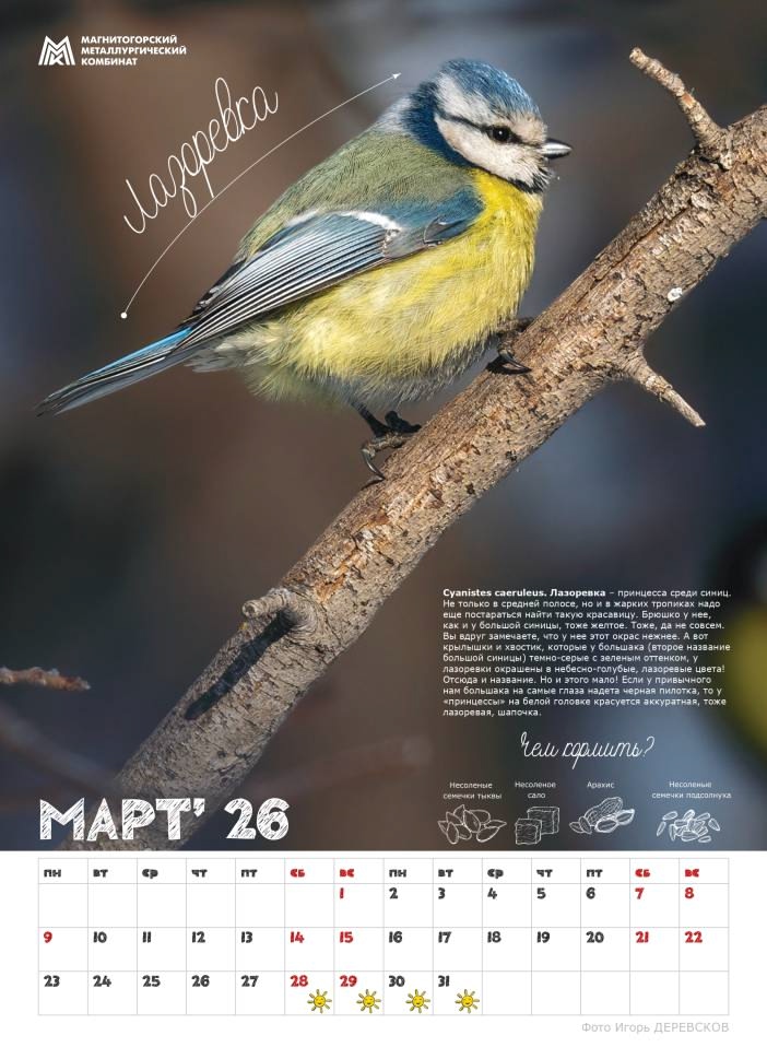 «Синичкины друзья» — новый подарок от ММК для школ Магнитогорска