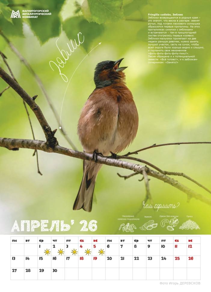 «Синичкины друзья» — новый подарок от ММК для школ Магнитогорска