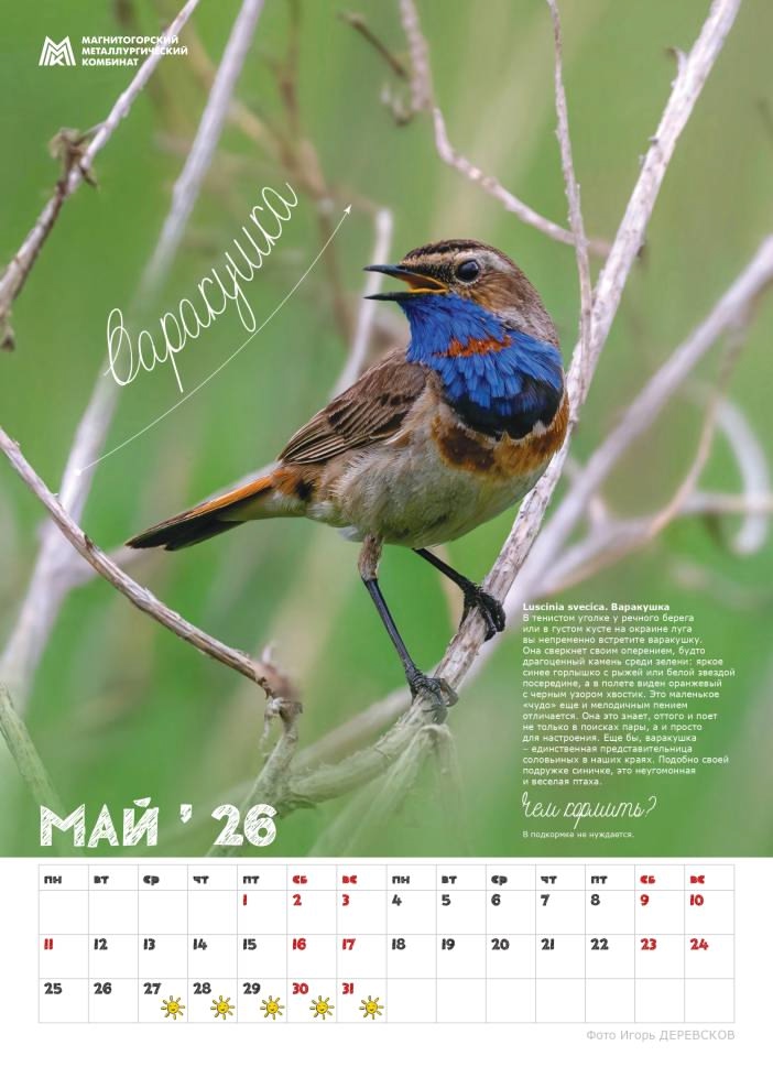 «Синичкины друзья» — новый подарок от ММК для школ Магнитогорска