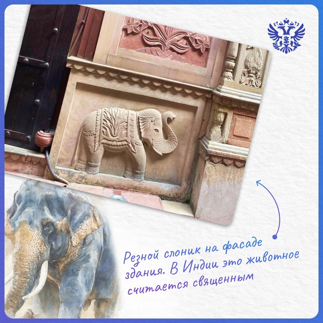 Прямое включение из самого сердца Индии