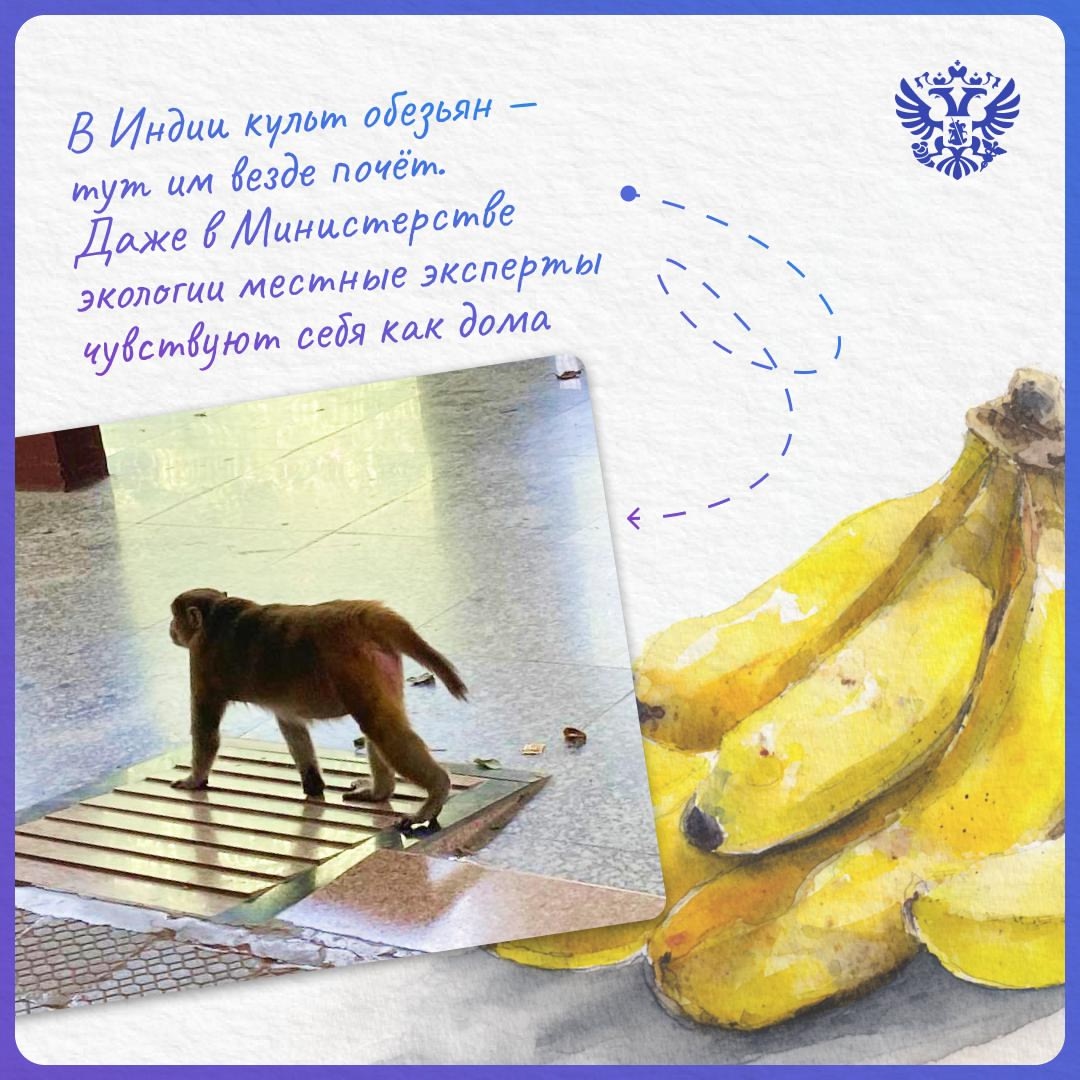 Прямое включение из самого сердца Индии