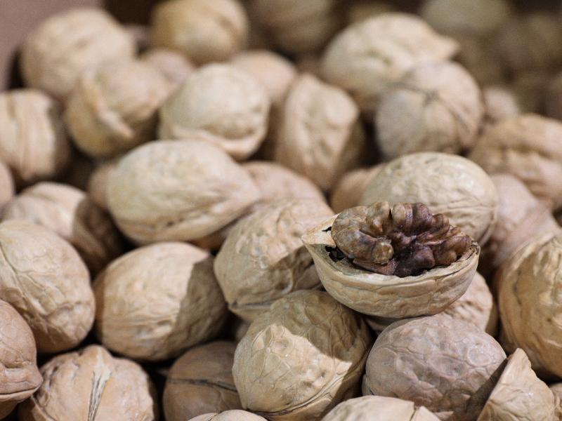 По данным Центра отраслевой экспертизы Россельхозбанка, валовой сбор культивируемых орехов с 2014 года увеличился на 86%, составив в прошлом году 28,1 тыс. т.…