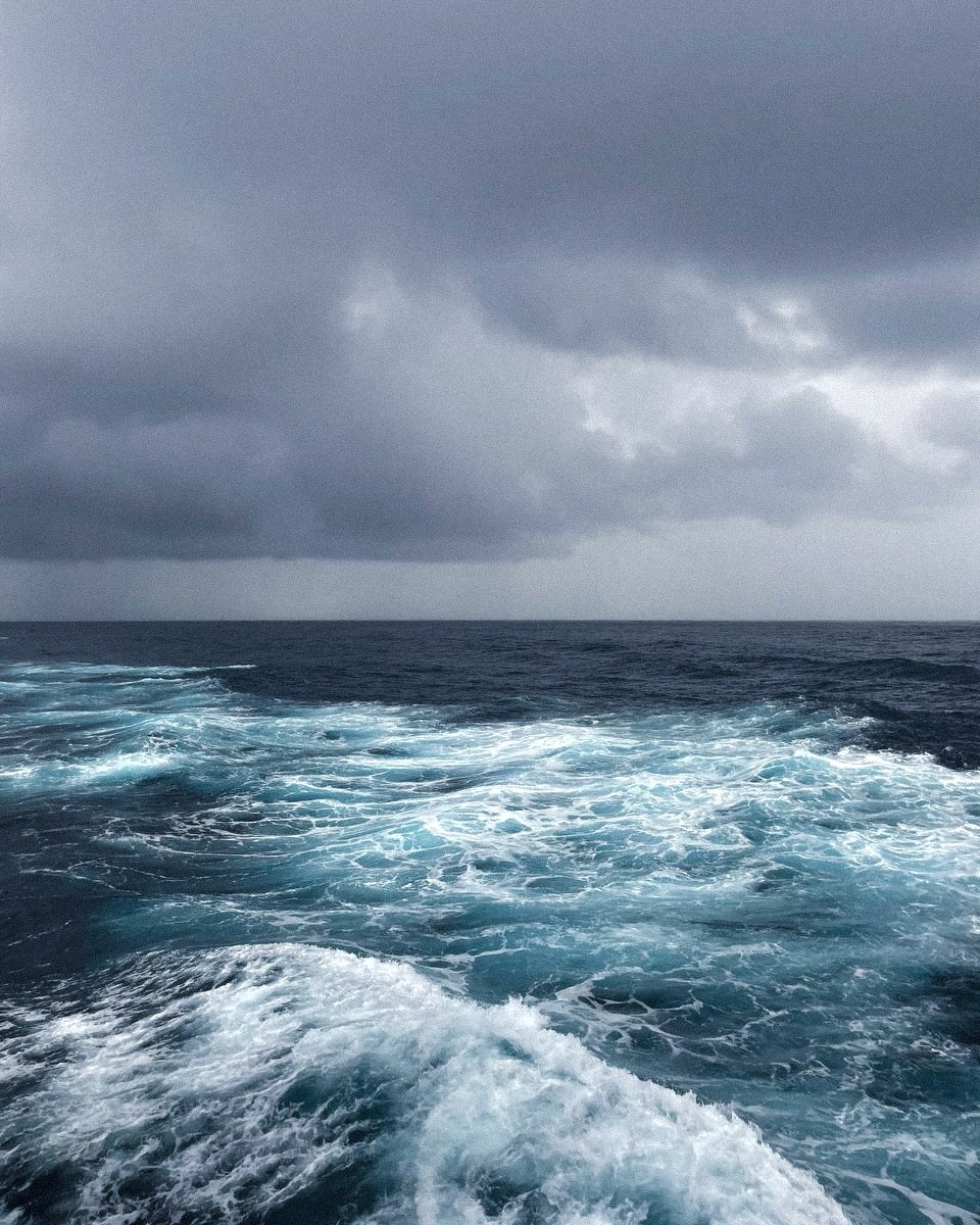 Работа с видом на море… Наши подписчики делятся с нами яркими моментами прямо с борта судна FESCO