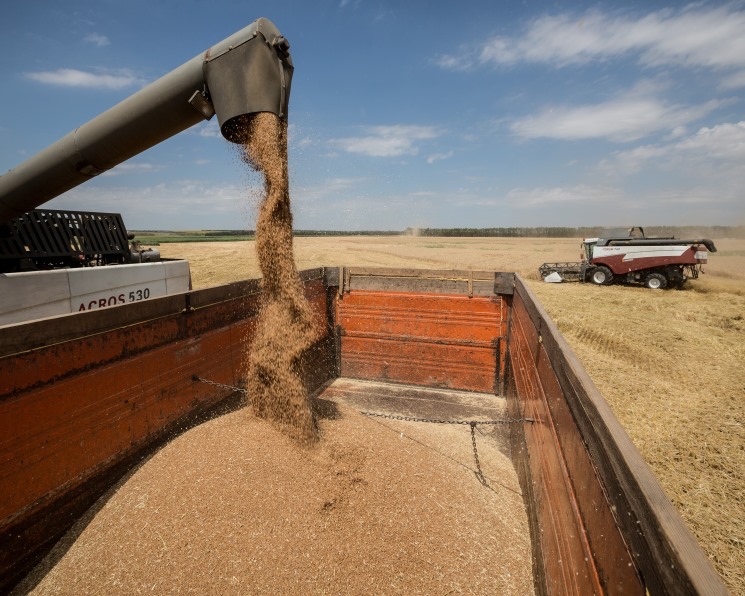 С 17 по 23 сентября экспортная пошлина на пшеницу увеличится с 168,6 руб. до 495,9 руб. за тонну, сообщает Минсельхоз. На кукурузу – вырастет с нуля до 398,2…