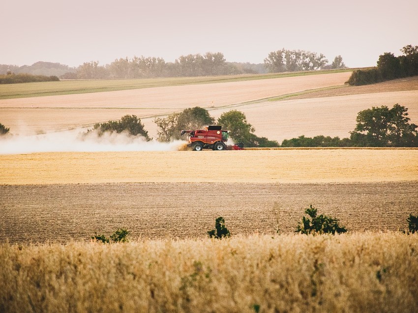 Самое интересное за неделю с 8 по 14 августа