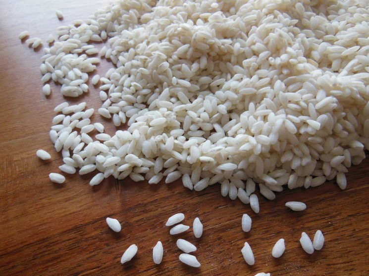 Цена на рис-сырец за последний год снизилась почти вдвое. Так, в третьей декаде августа она составила 24 руб./кг, опустившись на уровень сентября 2021 года