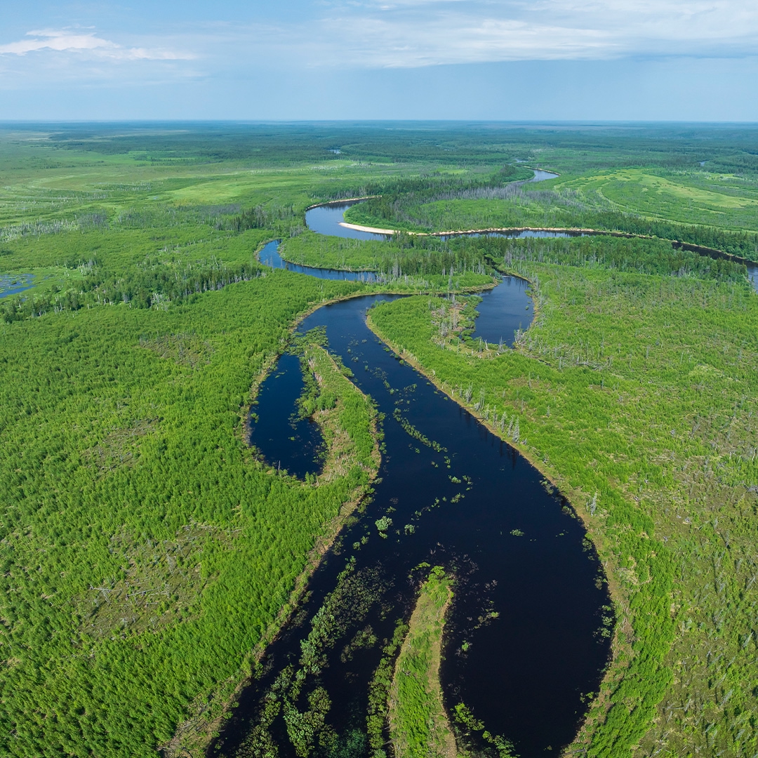 Суровый климат Ямала задает свои правила: зима здесь долгая и холодная. Тем ценнее лето – короткое, но яркое, наполненное красками и жизнью