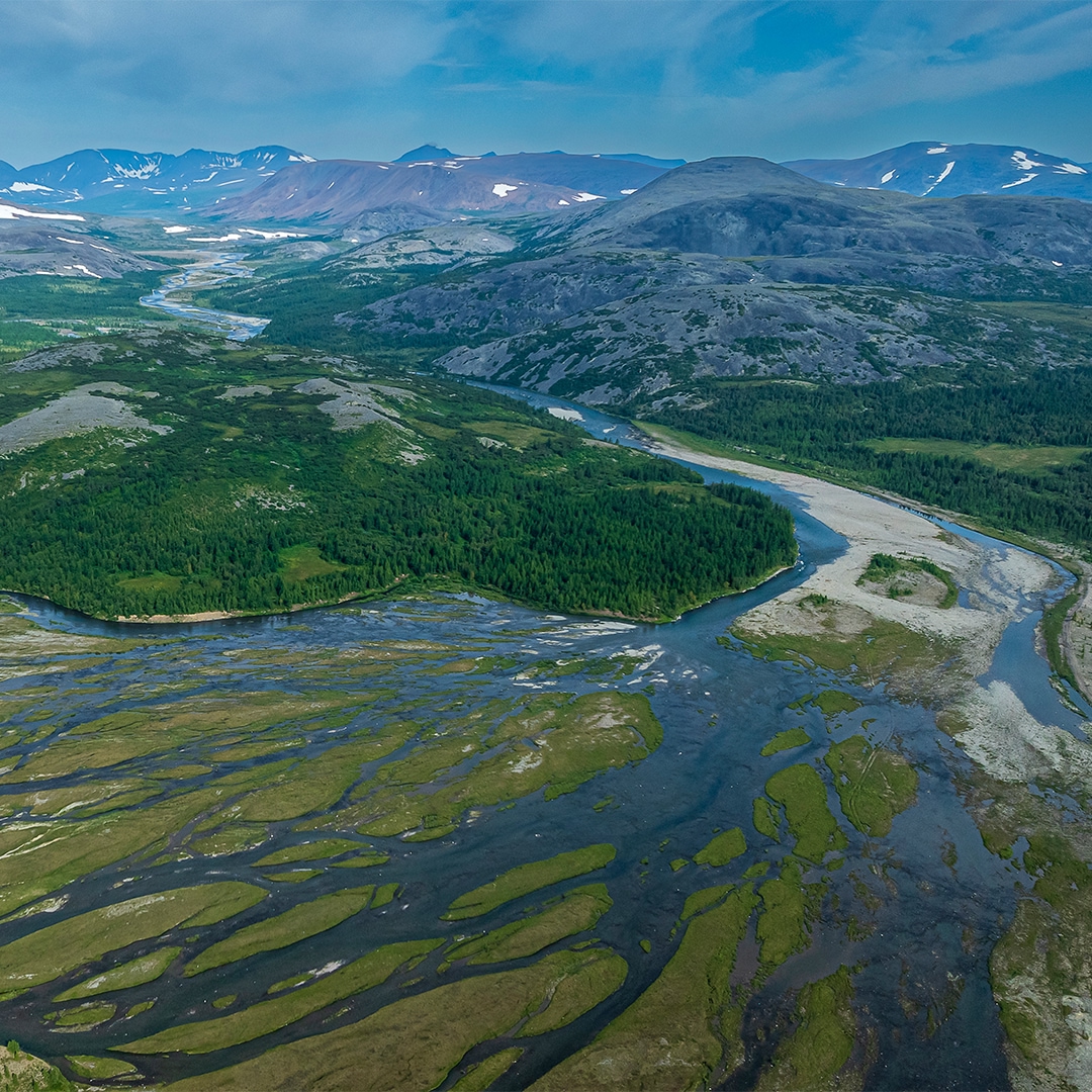 Суровый климат Ямала задает свои правила: зима здесь долгая и холодная. Тем ценнее лето – короткое, но яркое, наполненное красками и жизнью