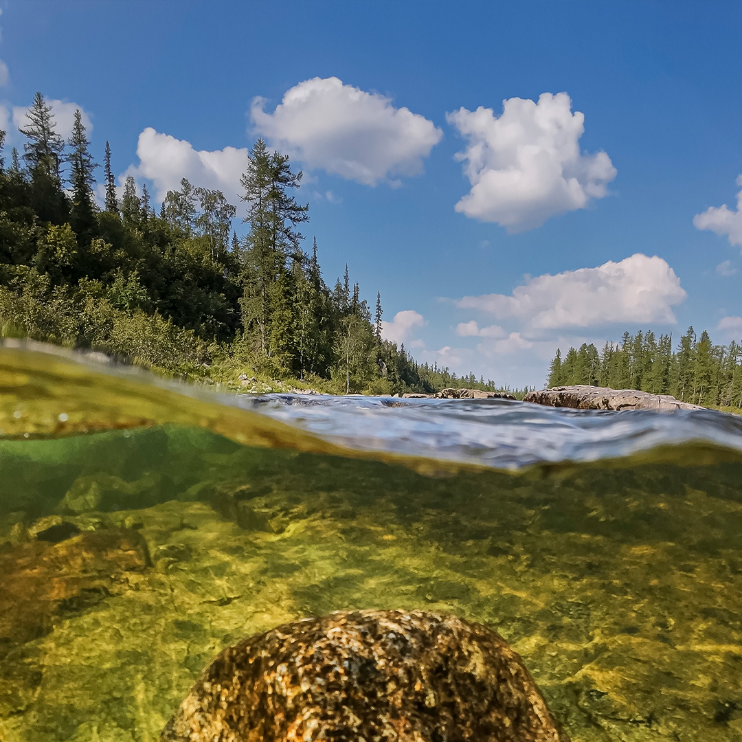 Суровый климат Ямала задает свои правила: зима здесь долгая и холодная. Тем ценнее лето – короткое, но яркое, наполненное красками и жизнью