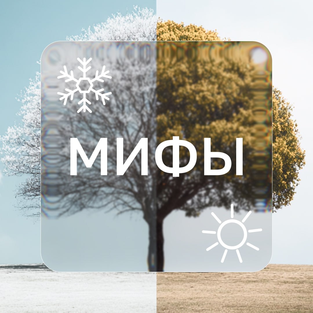 Северным оленям полезно потепление: какие мифы о климате вы знаете