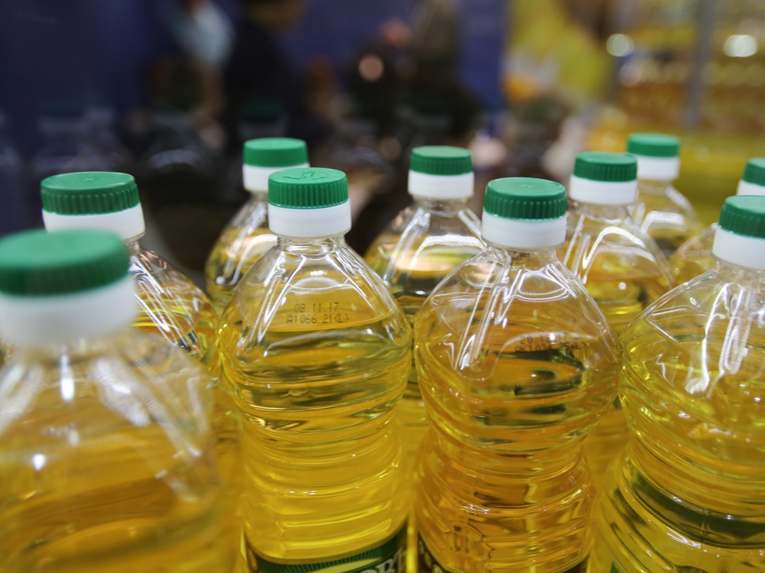 Россия заинтересована в создании на территории Египта производства подсолнечного масла, этот вопрос поднимался во время визита российской делегации в Каир,…