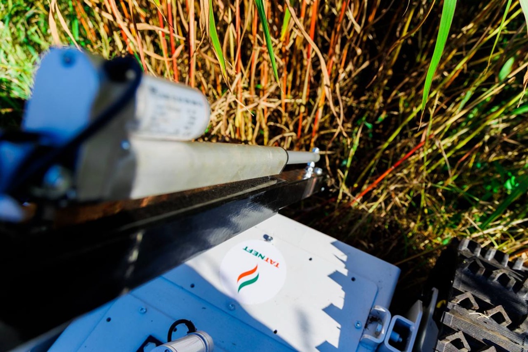 Как Татнефть с помощью ИИ помогает школьникам шагнуть в будущее?