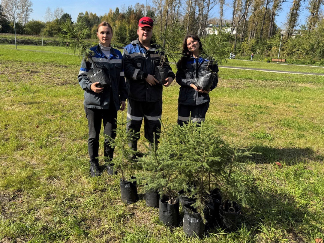 Озеленяем наши города! Мы начинаем осенние посадки в рамках всероссийской акции «Сохраним лес». Сразу две улицы в Новокузнецке стали зеленее и краше!