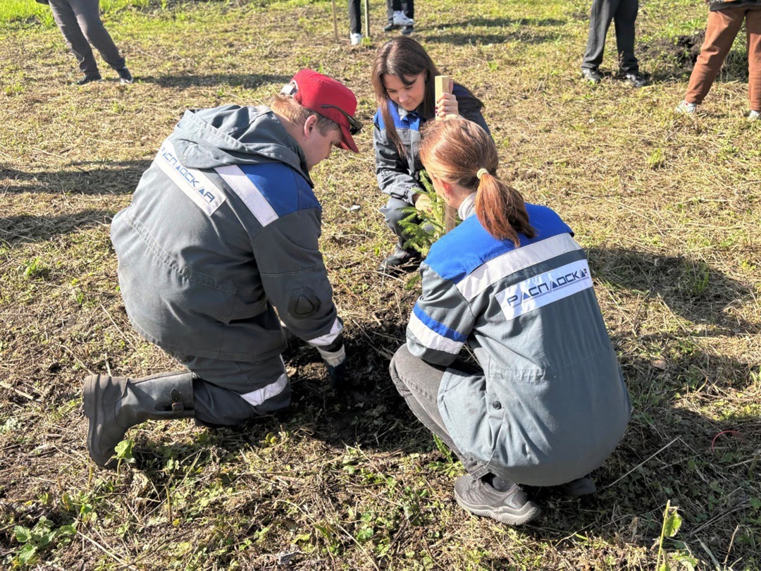Озеленяем наши города! Мы начинаем осенние посадки в рамках всероссийской акции «Сохраним лес». Сразу две улицы в Новокузнецке стали зеленее и краше!