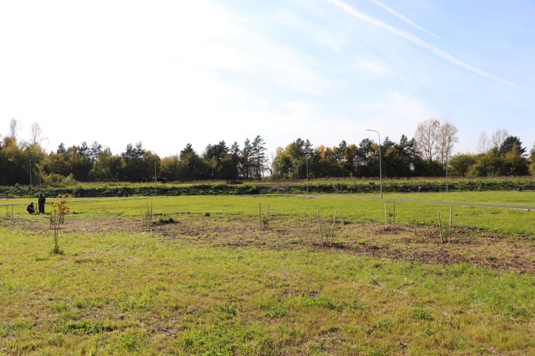 Озеленяем наши города! Мы начинаем осенние посадки в рамках всероссийской акции «Сохраним лес». Сразу две улицы в Новокузнецке стали зеленее и краше!