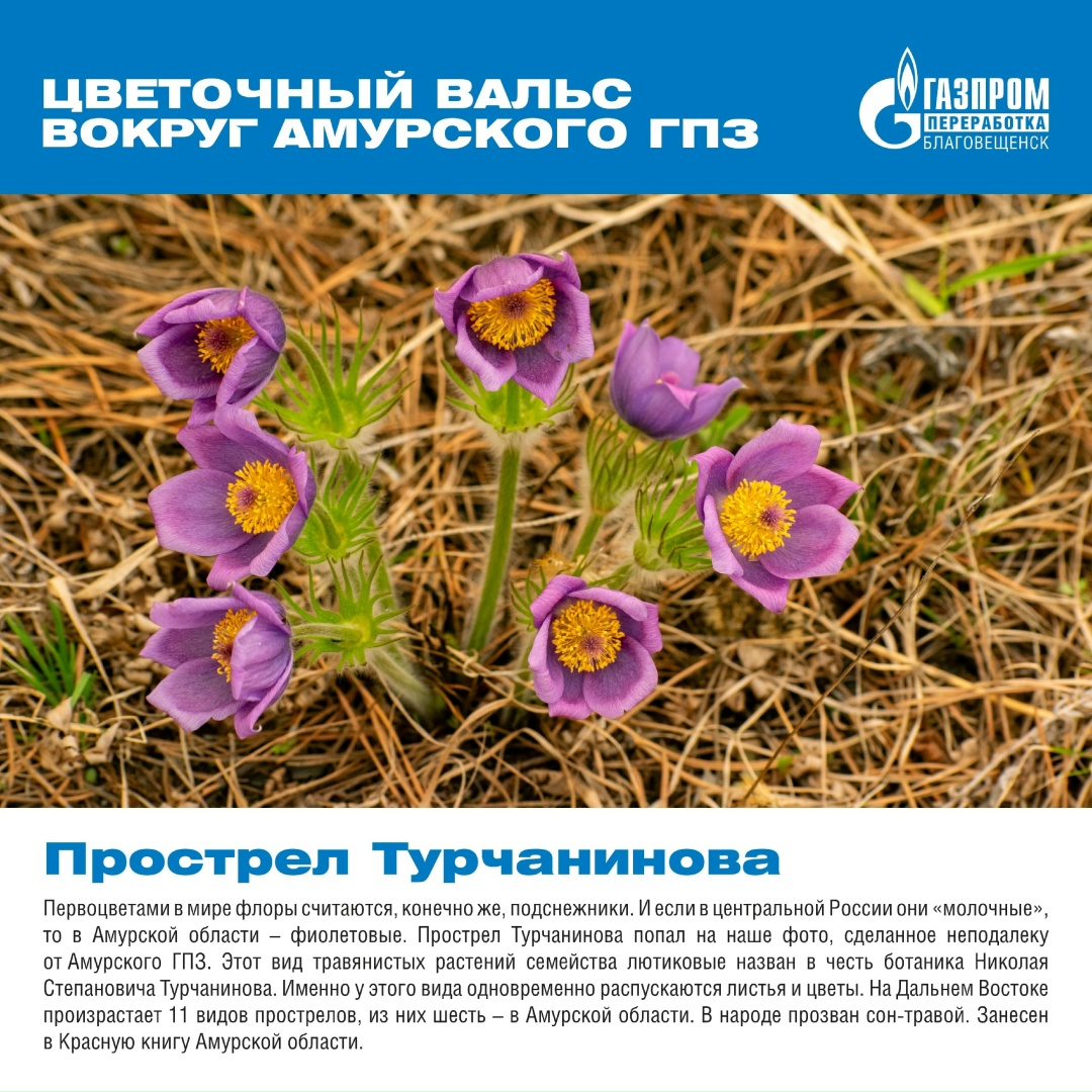 Вокруг нашего мощного и высокотехнологичного завода существует прекрасный и хрупкий мир, полный природной красоты