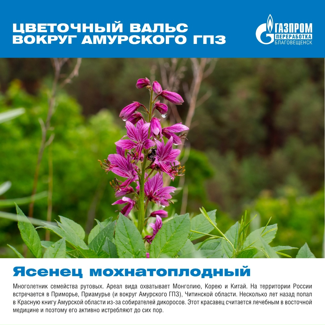 Вокруг нашего мощного и высокотехнологичного завода существует прекрасный и хрупкий мир, полный природной красоты