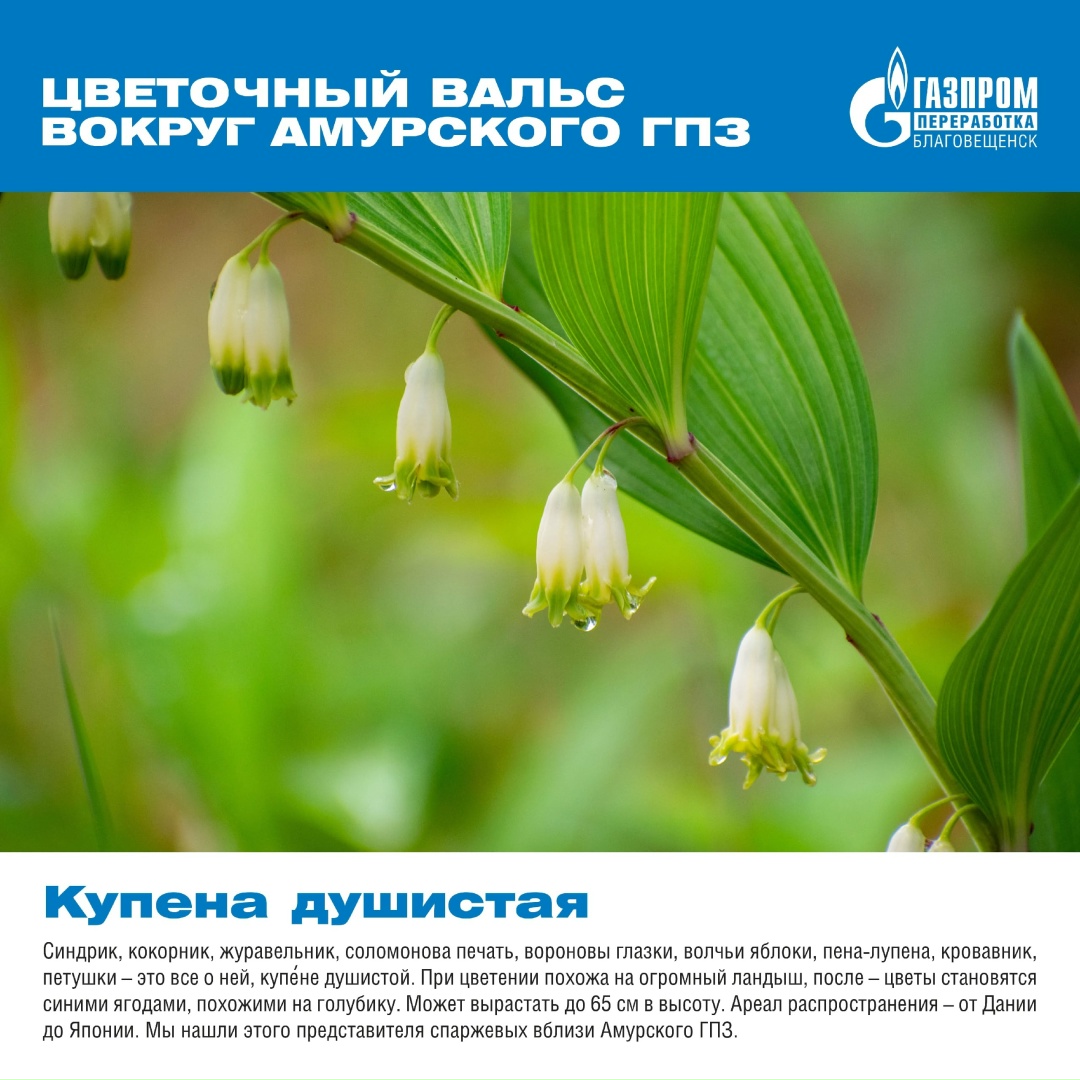 Вокруг нашего мощного и высокотехнологичного завода существует прекрасный и хрупкий мир, полный природной красоты