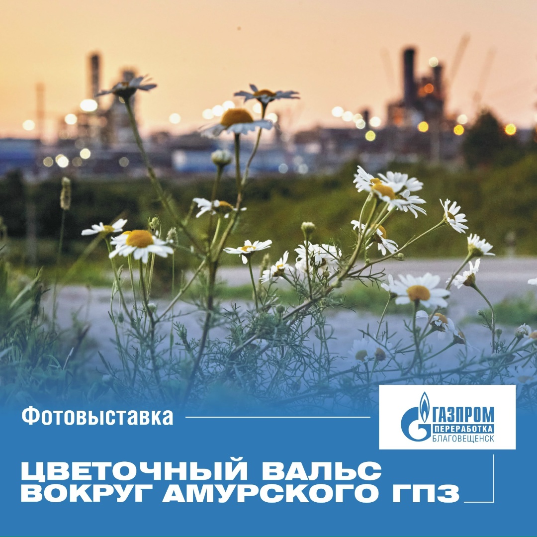 Вокруг нашего мощного и высокотехнологичного завода существует прекрасный и хрупкий мир, полный природной красоты