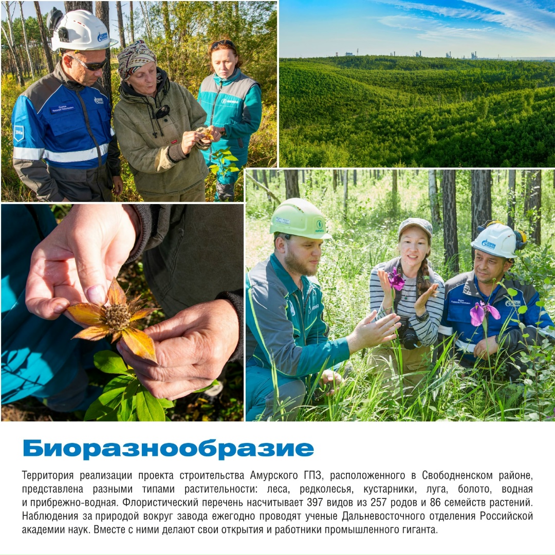 Вокруг нашего мощного и высокотехнологичного завода существует прекрасный и хрупкий мир, полный природной красоты