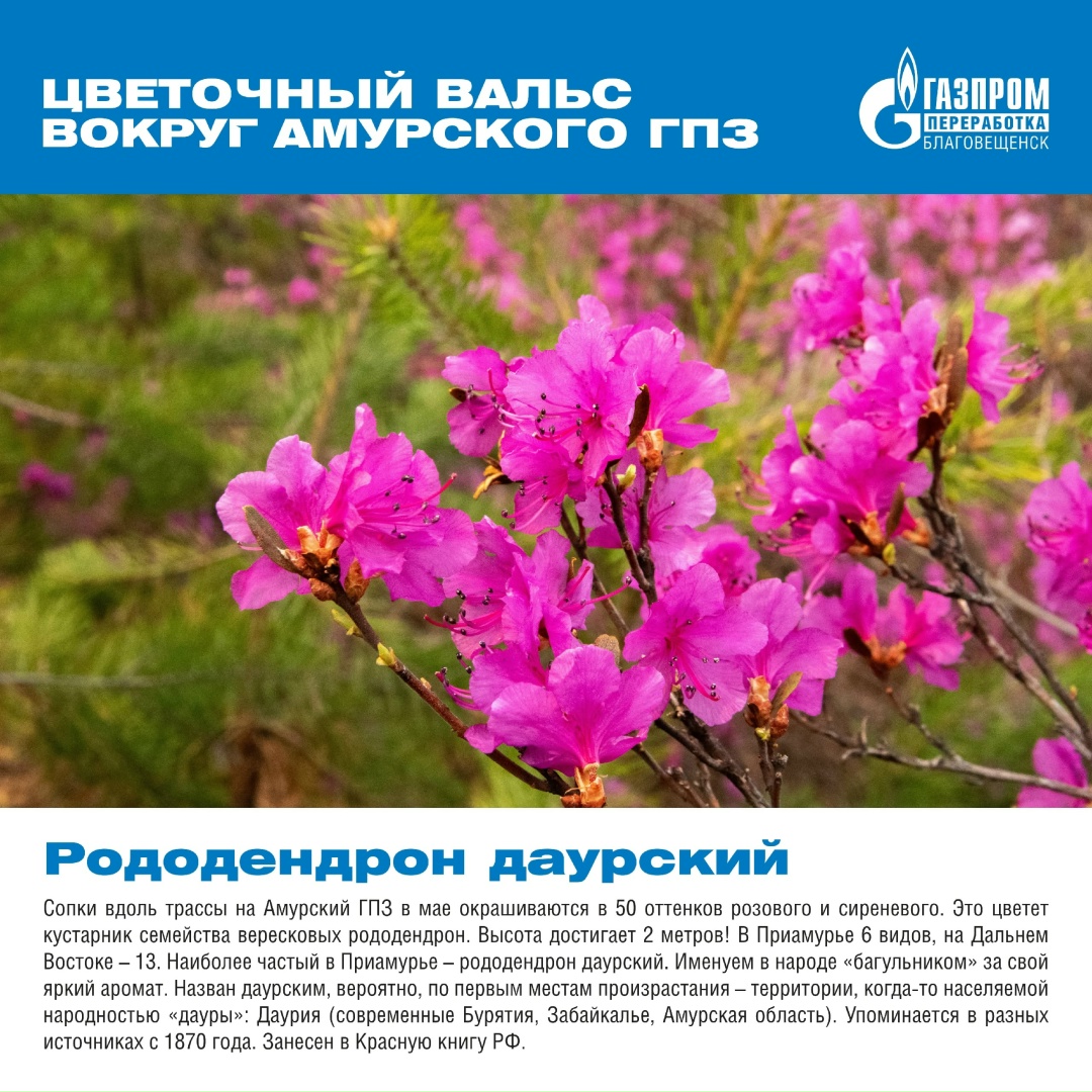 Вокруг нашего мощного и высокотехнологичного завода существует прекрасный и хрупкий мир, полный природной красоты