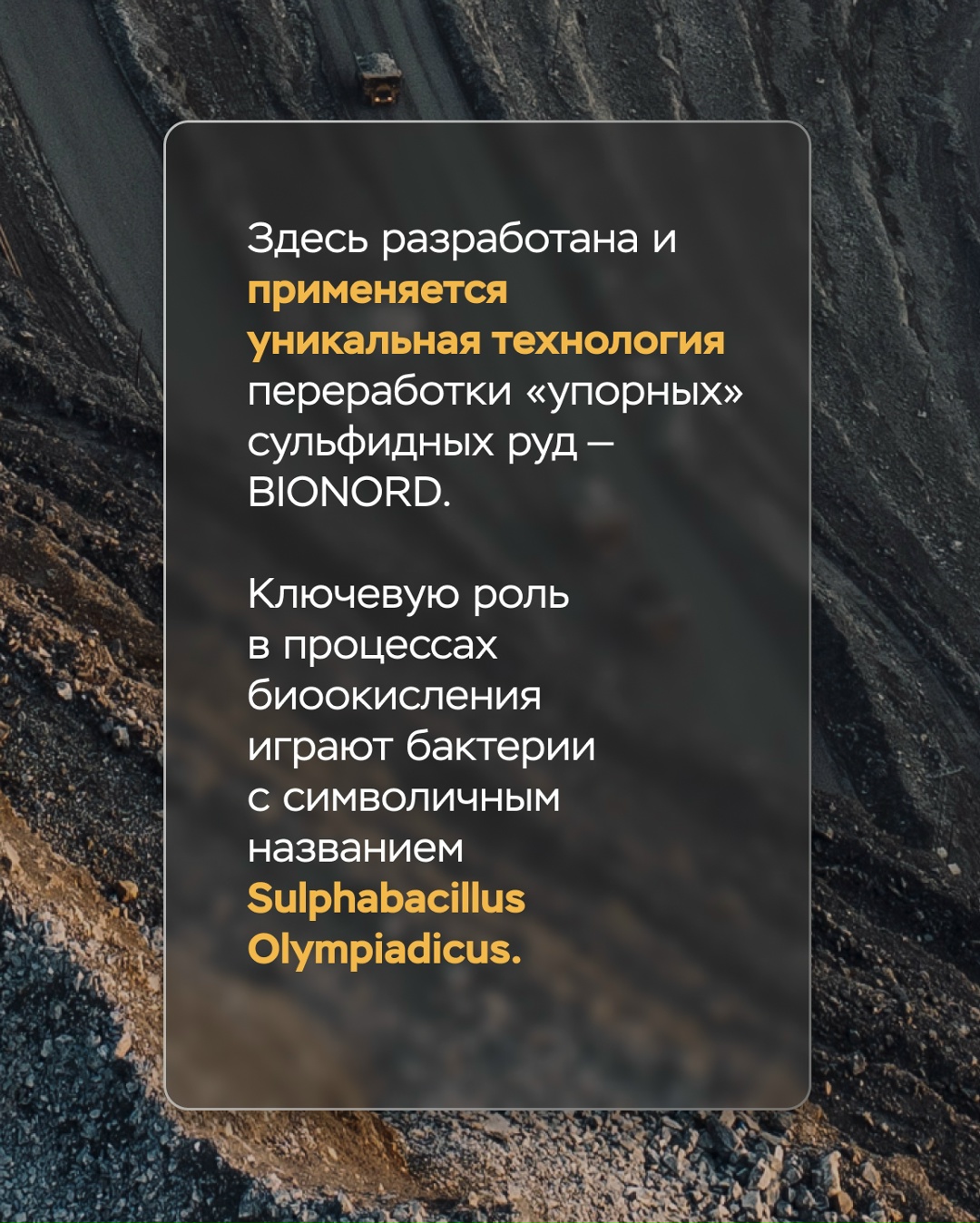 «Полюс Красноярск» — место, где масштабы «Полюса» ощущаются в полной мере.