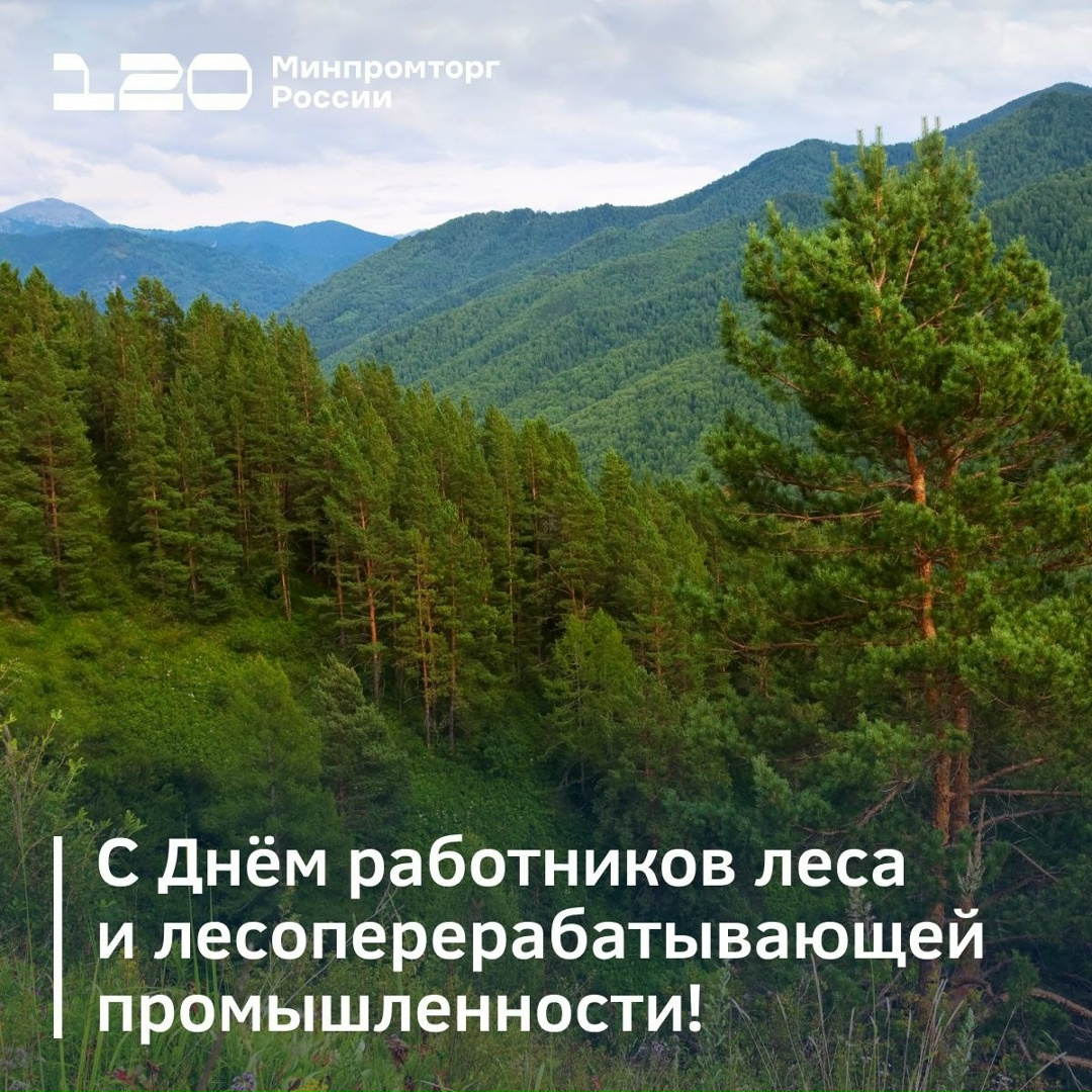 Уважаемые работники и ветераны лесной и лесоперерабатывающей промышленности!