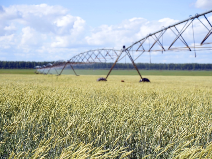 Урожаи вырастут на поливе. Что сдерживает распространение ирригационных технологий — Журнал «Агроинвестор»