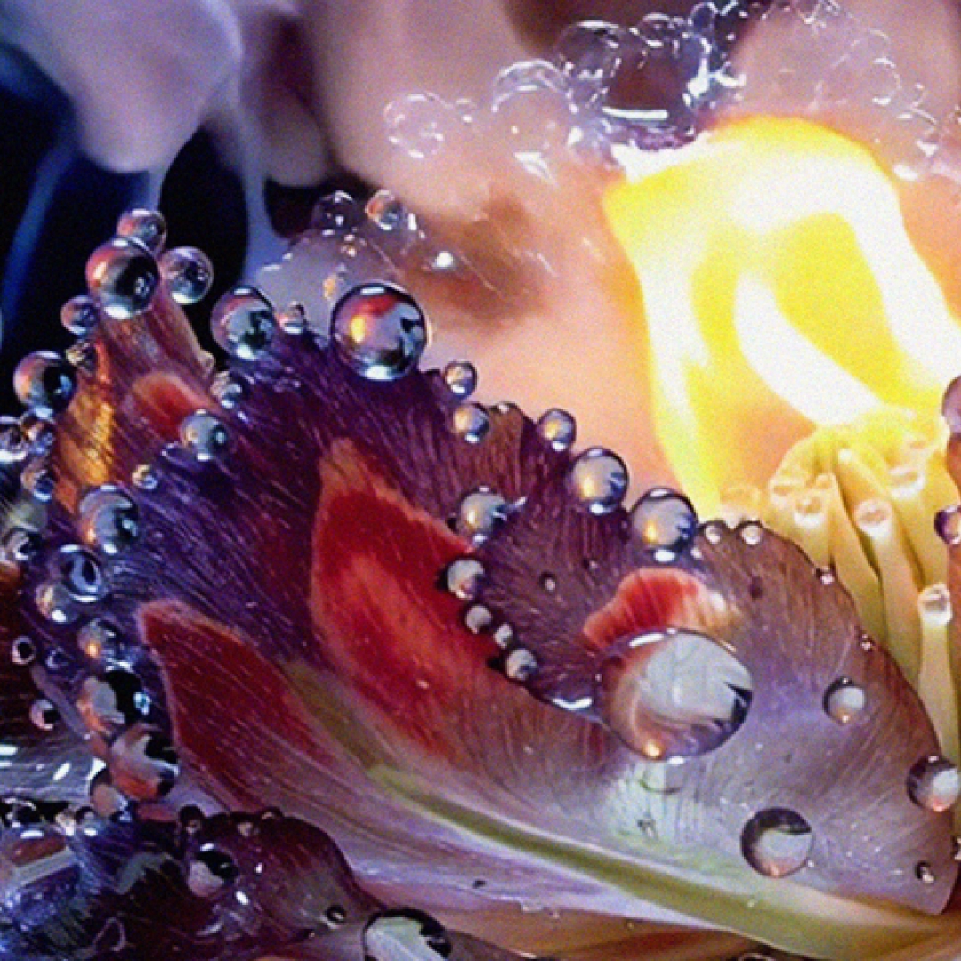 Цифровые технологии развиваются и становятся более совершенными: машинный разум допускает меньше ошибок, и это же лишает его непредсказуемости и ощущения…