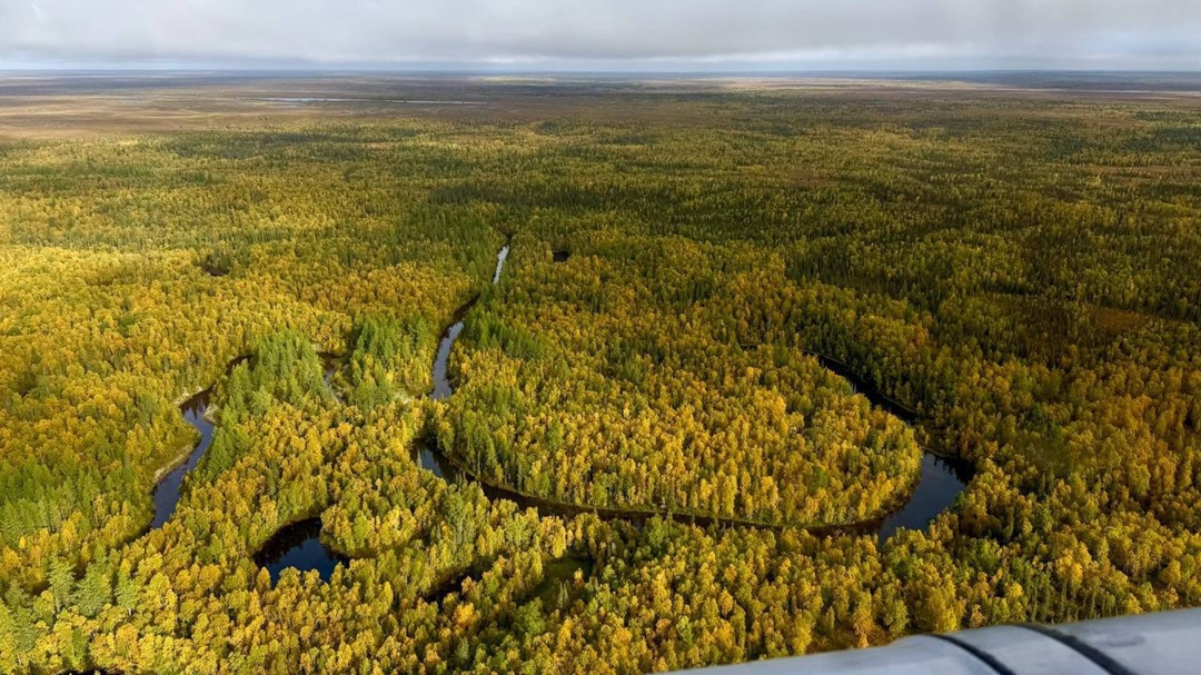 Тайны «летающей лодки» лет потребовалось исследователям, чтобы восстановить хронологию событий туманного утра в 200 км от Нарьян-Мара в октябре 1944 года.