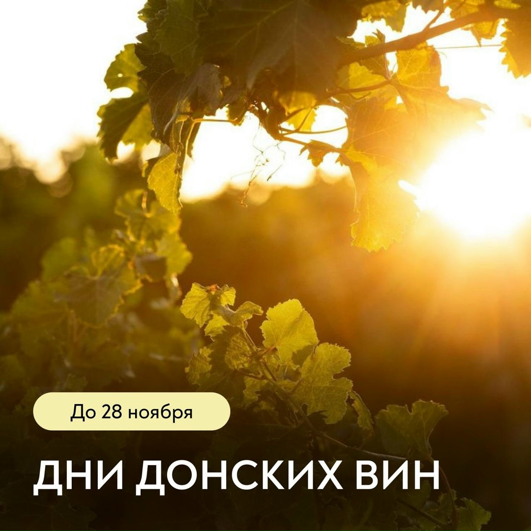 «Дни донских вин» – в самом разгаре!