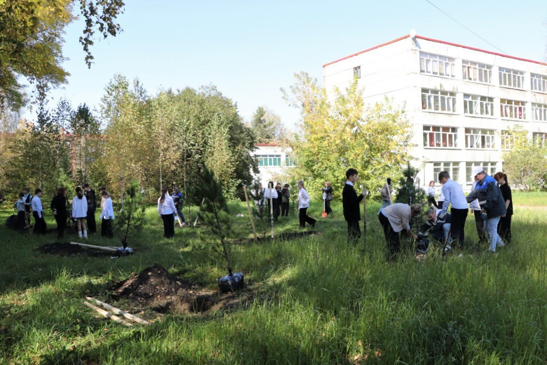 От саженца – к могучему кедру! В рамках акции «Сохраним лес» экологи шахты «Распадская» и разреза «Коксовый» вместе с педагогами и учениками междуреченской…