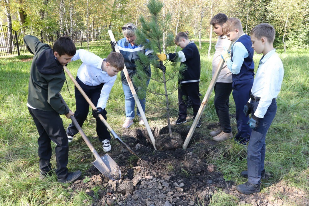 От саженца – к могучему кедру! В рамках акции «Сохраним лес» экологи шахты «Распадская» и разреза «Коксовый» вместе с педагогами и учениками междуреченской…