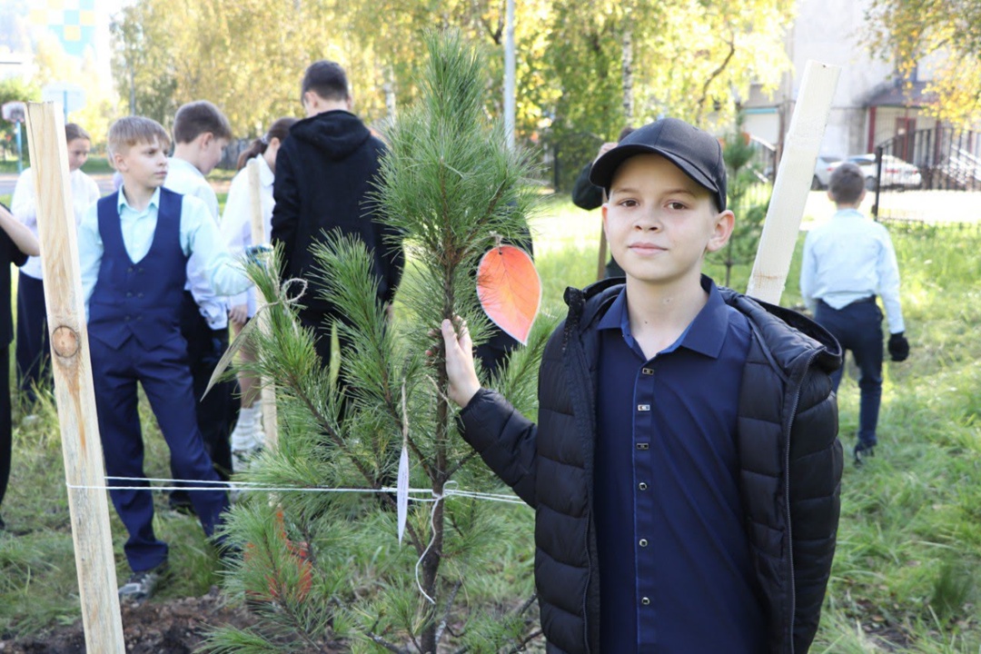 От саженца – к могучему кедру! В рамках акции «Сохраним лес» экологи шахты «Распадская» и разреза «Коксовый» вместе с педагогами и учениками междуреченской…