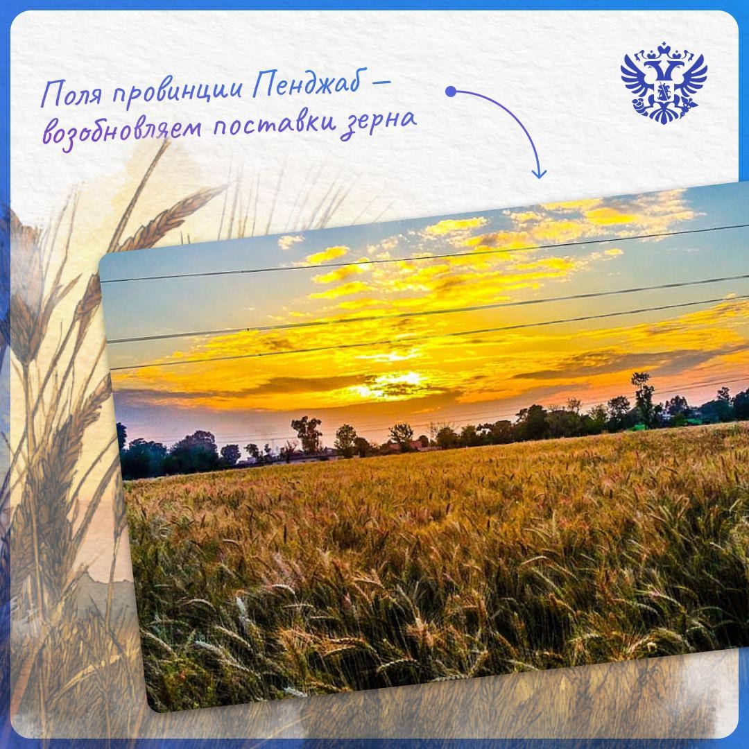 Банки, пшеница и металлургия — о чем мы договорились в Исламабаде?