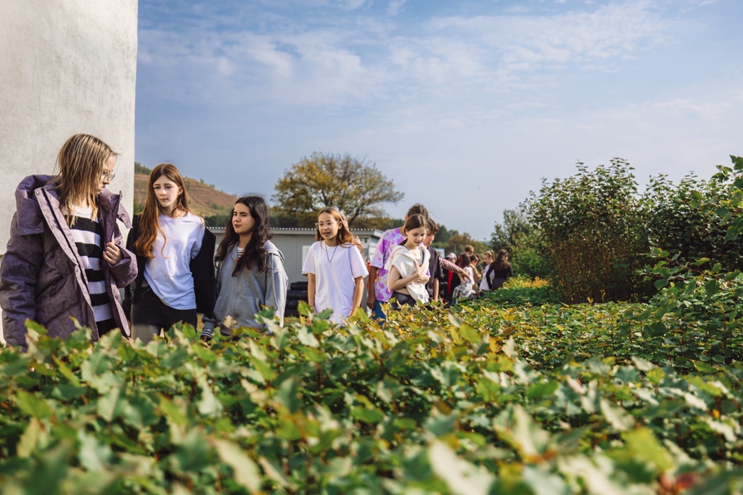 Заглянули в устойчивое будущее А вы знаете, как создают зелёную энергию? А как выглядит дом, который дружит с солнцем? А можно ли напечатать целый культурный…