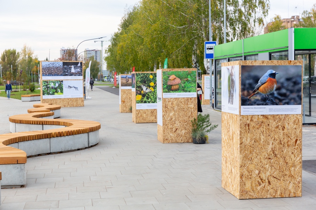 75 деревьев к 75-летию Компании В Нижнекамске состоялось открытие сквера «75-летия Татнефти»