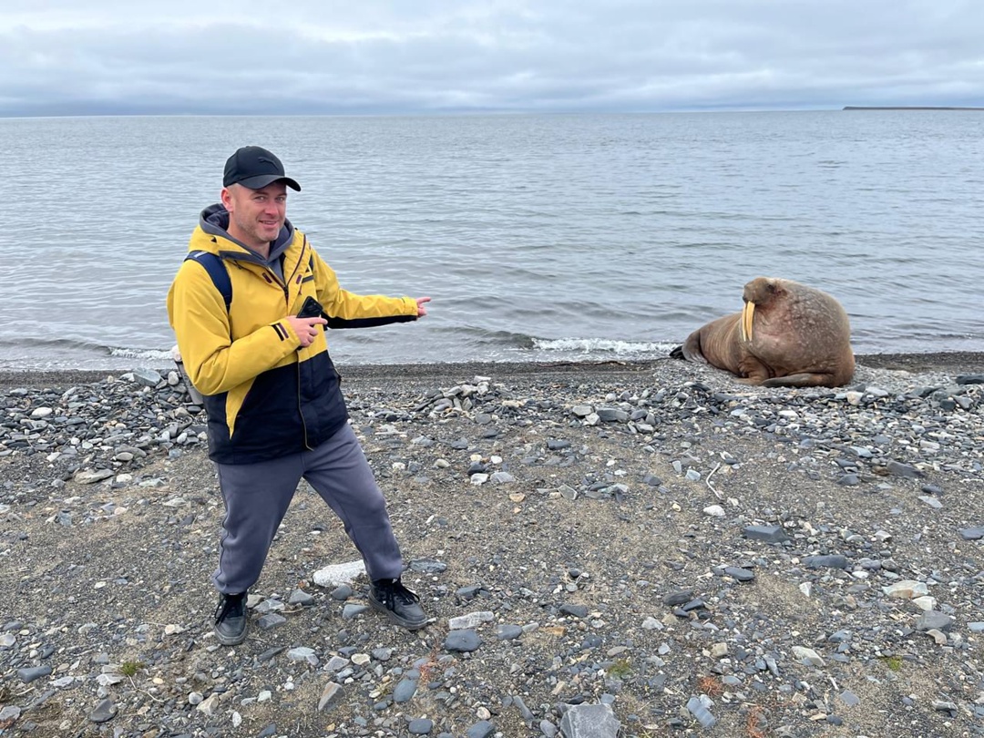 Отдыхающий на южном побережье Восточно-Сибирского моря в Певеке морж стал местной знаменитостью
