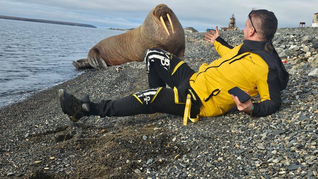 Отдыхающий на южном побережье Восточно-Сибирского моря в Певеке морж стал местной знаменитостью