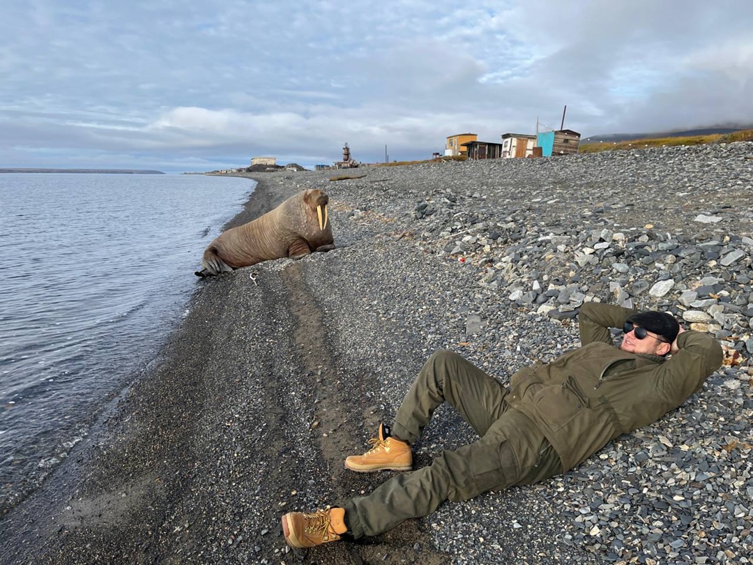 Отдыхающий на южном побережье Восточно-Сибирского моря в Певеке морж стал местной знаменитостью