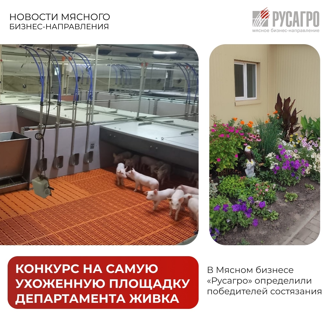 В Мясном бизнесе «Русагро» подвели итоги конкурса на самую ухоженную производственную площадку Департамента живка