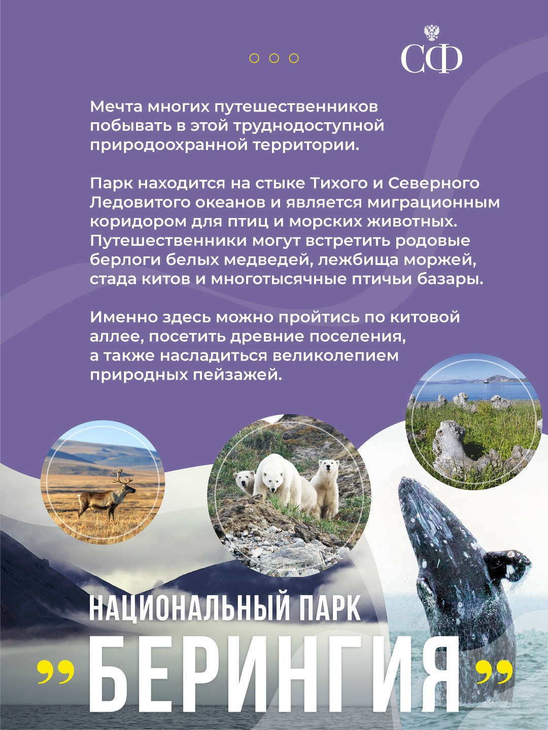 С началом парламентской сессии в верхней палате стартовали очередные дни субъектов Федерации, которые традиционно проходят в Совете Федерации.